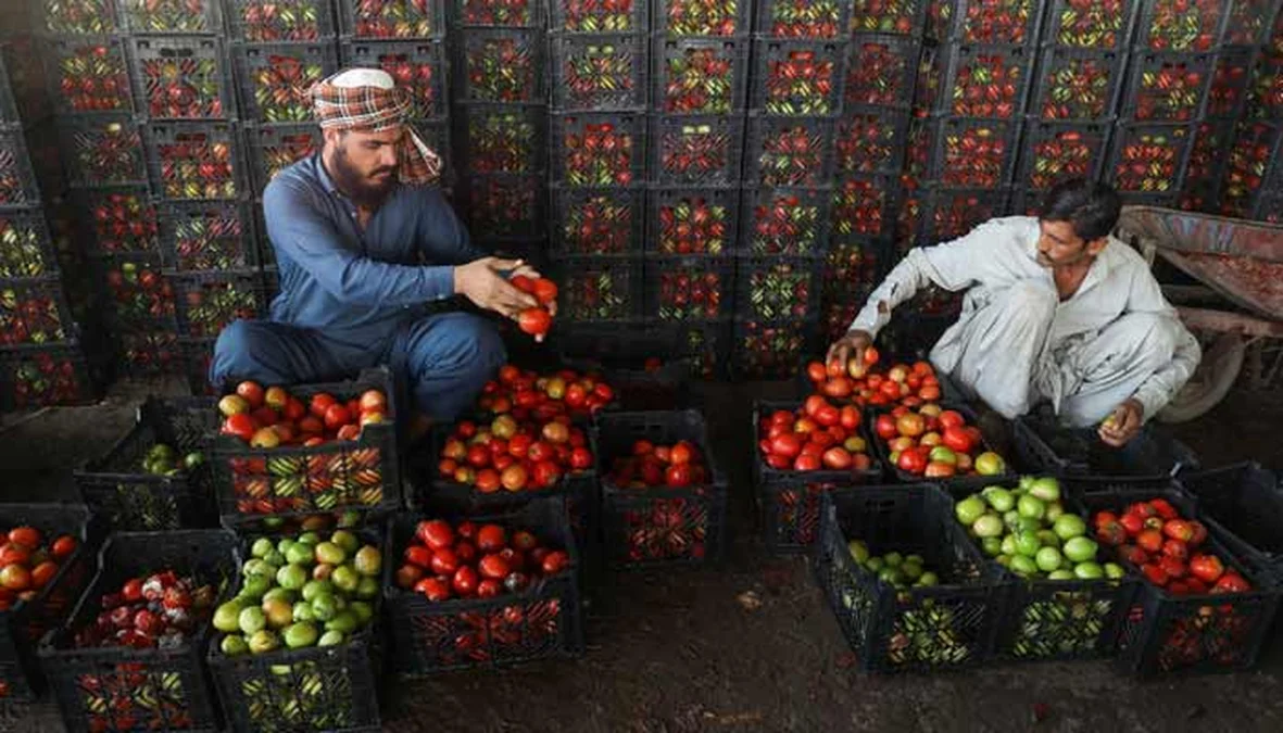 Post-Conflict Afghanistan-Pakistan: Food Prices Soar as Public Struggles Amid Border Closure
