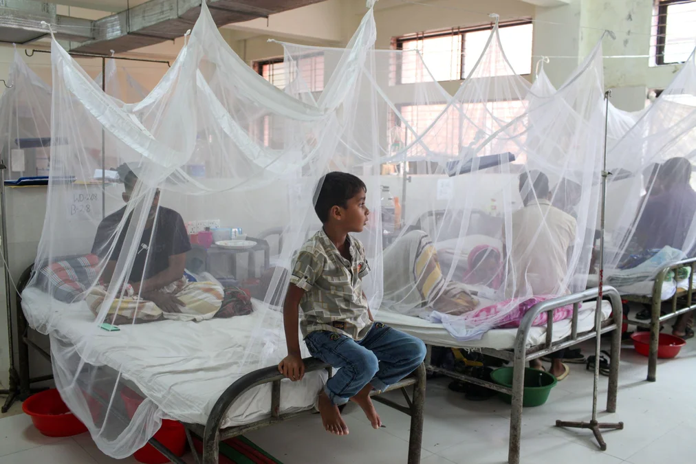 October Becomes the Deadliest Month for Dengue in Bangladesh