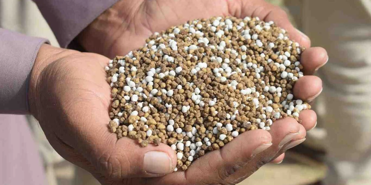 No Fertilizer Stock for Upcoming Season, Warns Secretary Obaidur Rahman