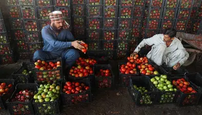 Post-Conflict Afghanistan-Pakistan: Food Prices Soar as Public Struggles Amid Border Closure